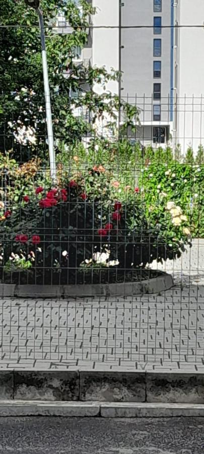Coresi, 2 Camere, Sleeps 6 Large Private Garden Apartment Pets Welcome Brasov Bagian luar foto